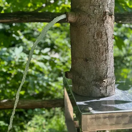 Il Bosco Di Paolo - Glamping Luxury tent